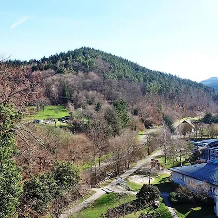 With Panoramic Views In The Black Forest Lejlighed